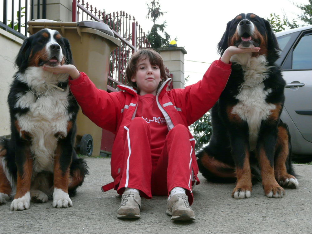Les 3 potes