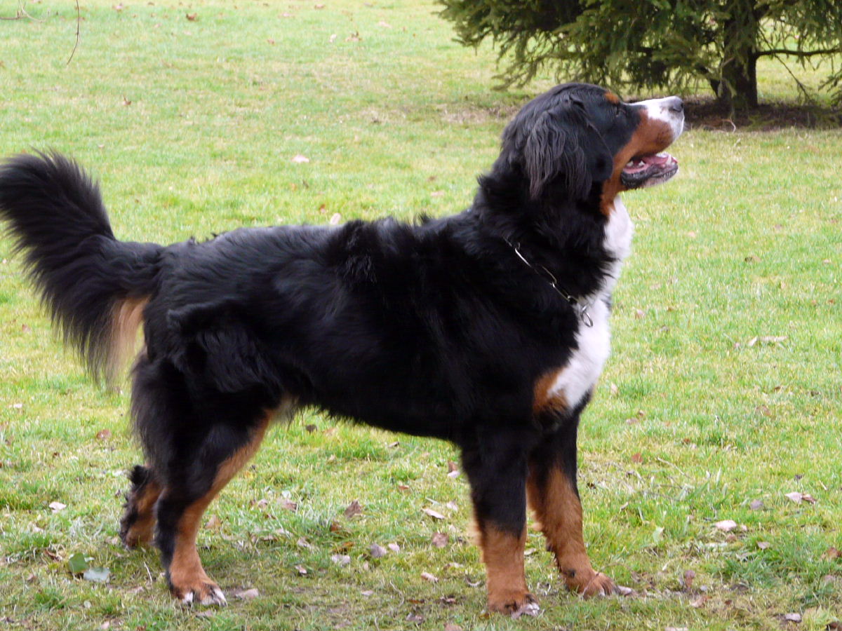 Beau Gosse !
